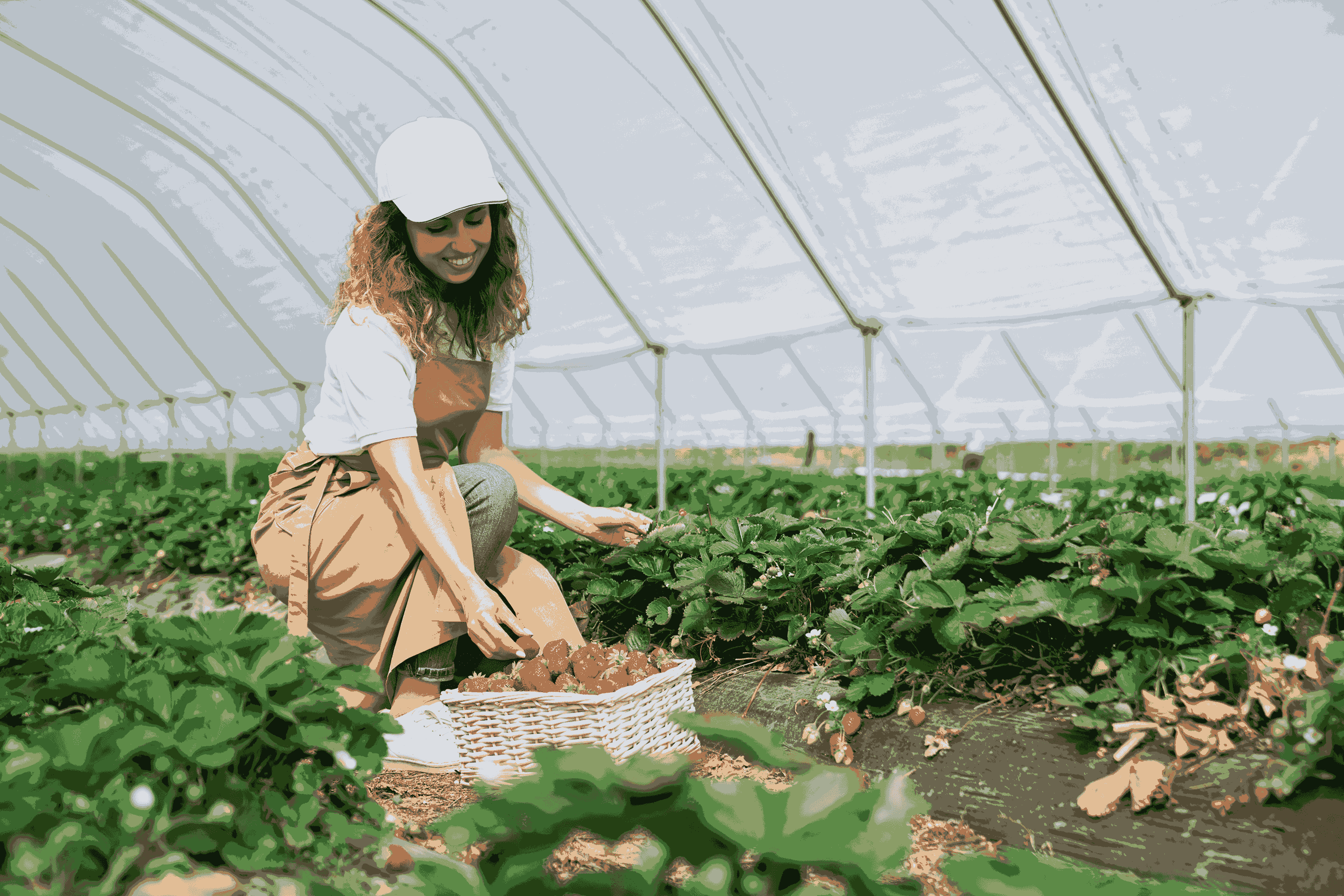 Сельское хозяйство
