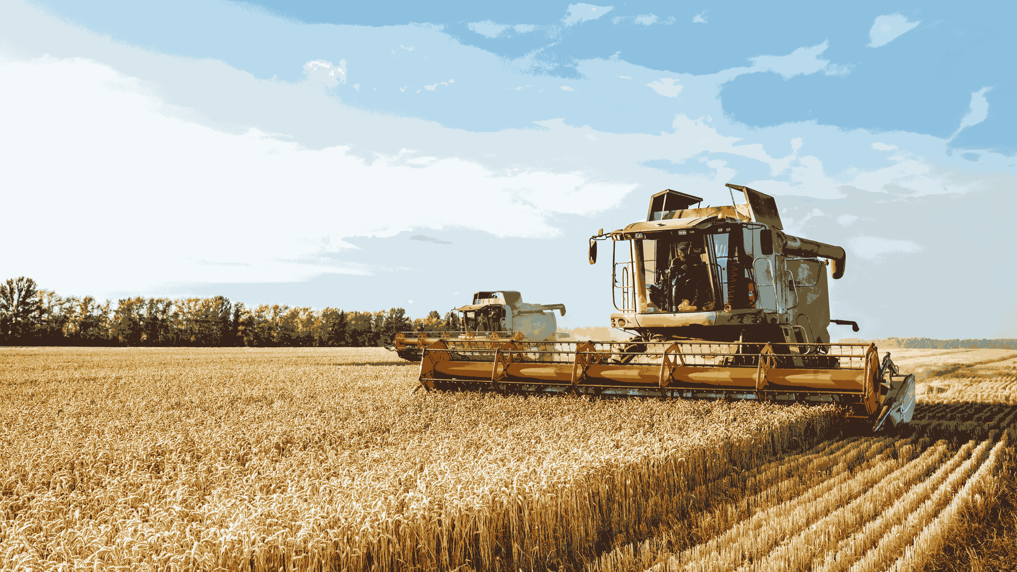 Сельское хозяйство